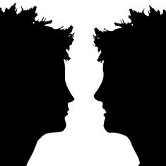 Vector silhouette profile of a woman's face N10