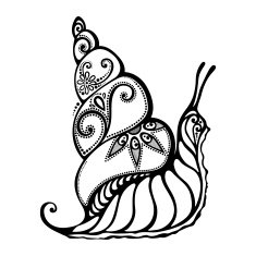 Beautiful Snail Exotic Insect
