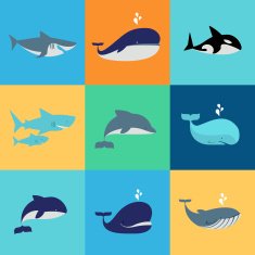 Vector set of whale dolphin and shark icons