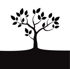 Black Tree on white Background N2