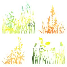 Four silhouettes of flowers and grass N2