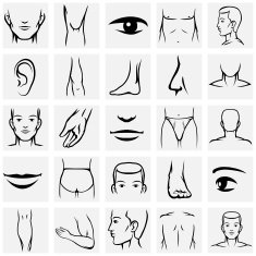Male body parts icons set