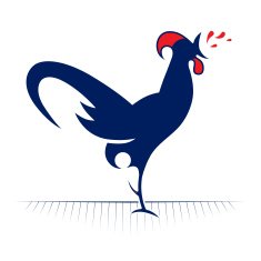 rooster redneck icon