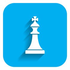 Chess King N4