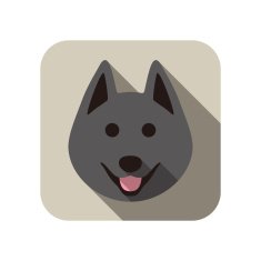 Schipperke dog face flat icon series