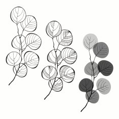 Set of abstract branches isolated on white background