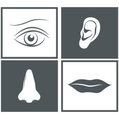 Nose eye mouth and ear pictograms