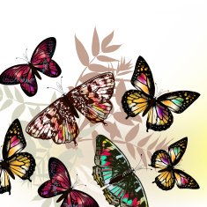 Butterfly fashion pattern N2