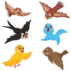 Birds Vector Illustration Set N2