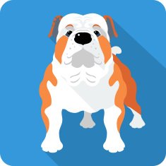 dog English Bulldog icon flat design
