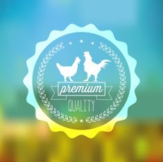 premium chicken label on blurred background