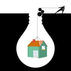 Bulbs and house concept