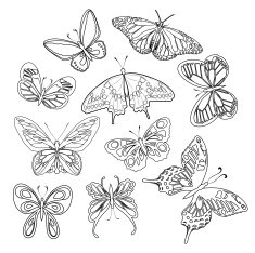 set of butterflies illustration isolated on white background