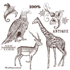 Collection of vector hand drawn animals N2