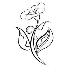 Flowers N372