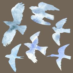 vector set of birds silhouettes