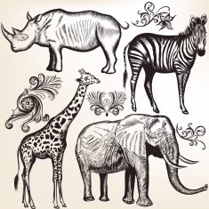 Collection of vector savanna animals
