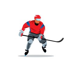 Hockey vector sign N2