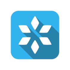 Christmas snowflake flat icon N2