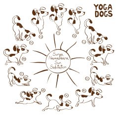 Dog doing yoga position of Surya Namaskara