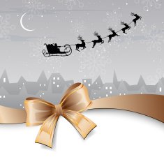 Vector Christmas Background N41