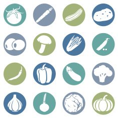 Vector Set of Vegetables Icons N15