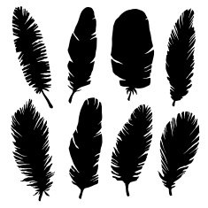Hand drawn bird feathers black silhouettes