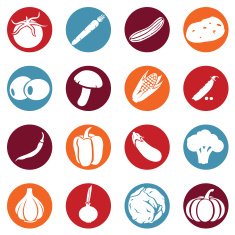 Vector Set of Vegetables Icons N16