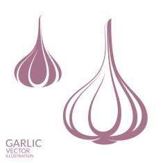 garlic N5