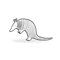 Isolated Armadillo vector illustration
