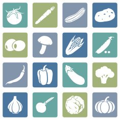 Vector Set of Vegetables Icons N17