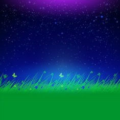 Night sky with grass frame for your text