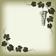 grape N7
