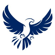 Eagle N29