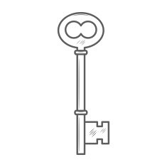 Key isolated on white background vector N6