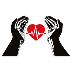 Hand with heart and cardiogram vector symbol N2