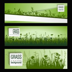strip of grass