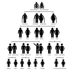 Family Tree Genealogy Diagram Pictogram N2