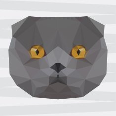 Abstract polygonal geometric triangle grey colored british cat portrait background