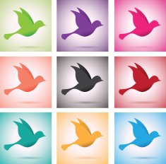 set of birds in flight N2