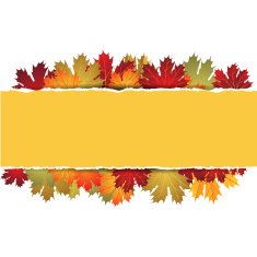 EPS10 Autumn maple leaves background Vector illustration