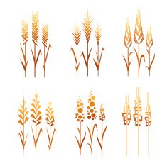 Abstract wheat icons