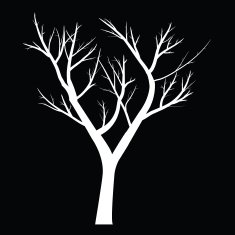 Trees with dead branch N145