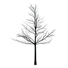 Trees with dead branch N146