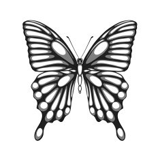 beautiful black and white butterfly with watercolor effect N2
