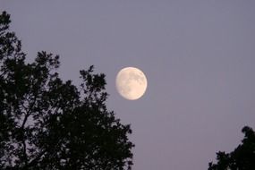 landscape of the full moon on a night sky