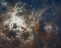 tarantula nebula magellanic cloud