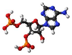 clipart of colorful adenosine biphosphate molecule
