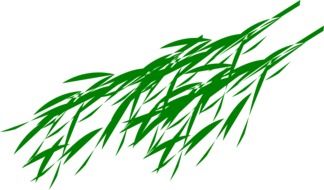 bamboo branches leaves drawing