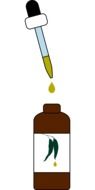 bottle with eucalyptus oil